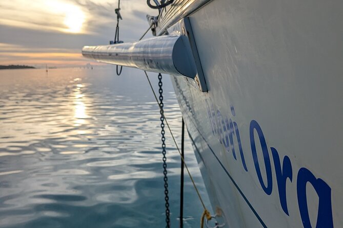 Half day whale watching - Without launch - Moorea’s peaks and the open Pacific