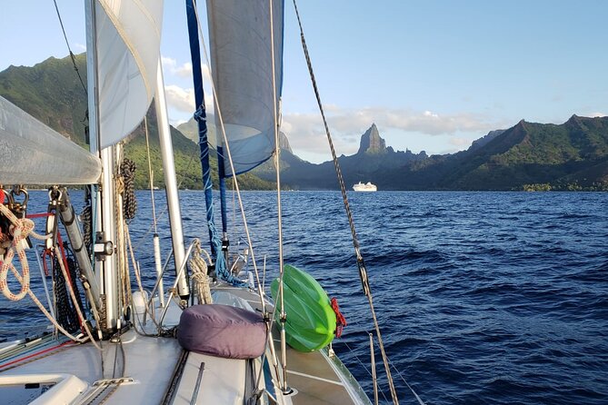 Half day whale watching - Without launch - Why the private format matters