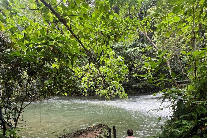 Hideaway Island Combo Day Trip with Yumi Tours - Who will enjoy this day most?