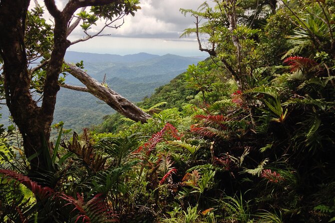 Hiking Adventure including Fiji's Highest Mountain and 3 Nights - Fiji beyond the beach resorts
