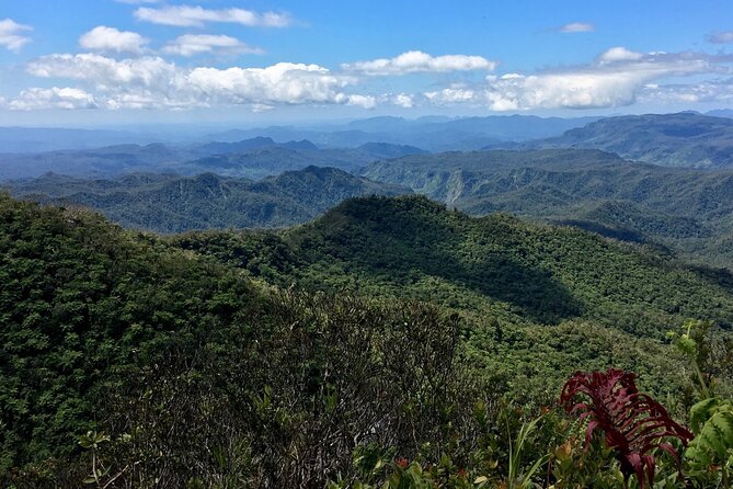 Hiking Adventure including Fiji's Highest Mountain and 3 Nights - Day two: climbing Mount Tomanivi