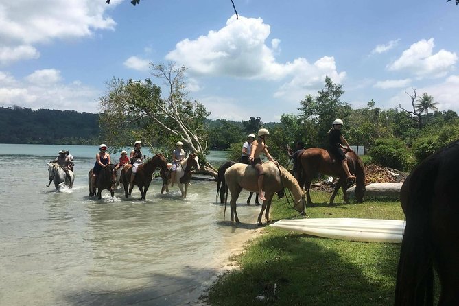 Horse Riding in Port Vila with Yumi Tours - Through rainforest and village gardens