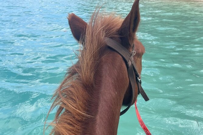 Horse Riding in Port Vila with Yumi Tours - Bareback into the bay