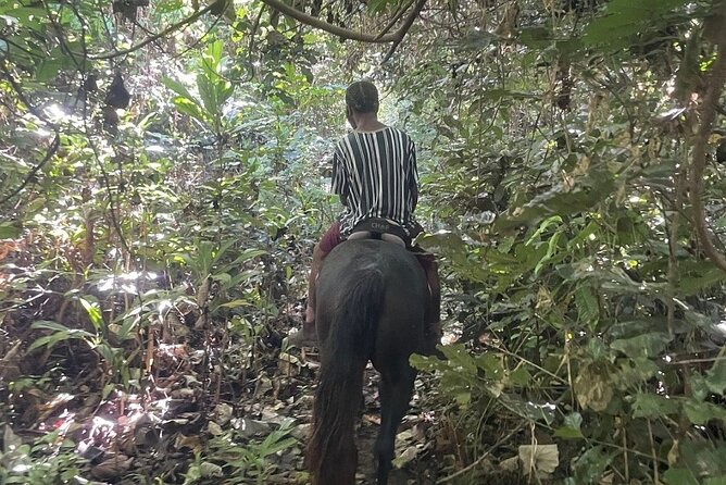 Horse Riding in Port Vila with Yumi Tours - Practical details that affect your day
