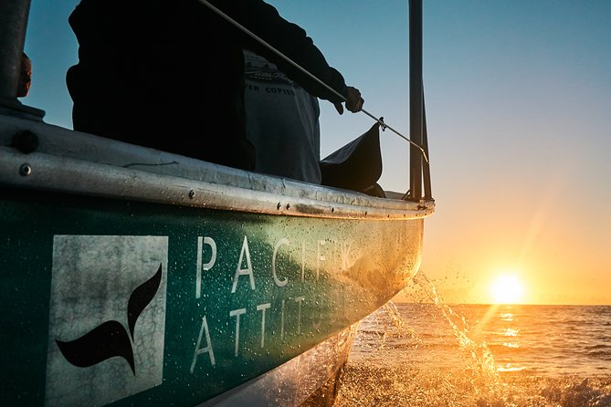 Humpback whale watching and marine life in Moorea - Choosing the right season and departure time