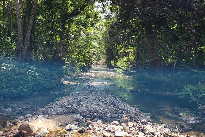 iconic waterfall tour - Sigatoka for shopping and a meal stop