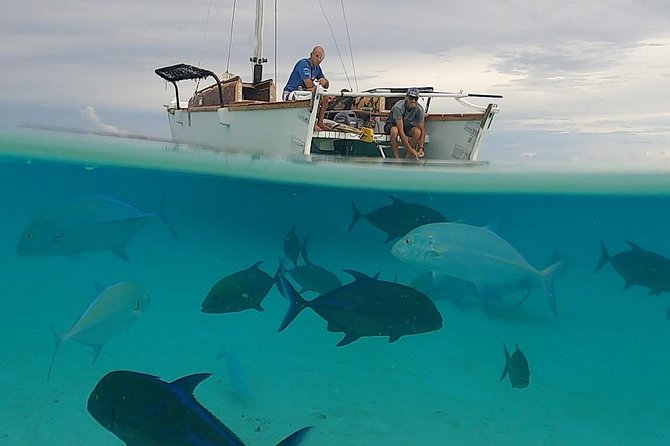 Introduction to sailing and discovering the lagoon - Is $126.32 a fair price?