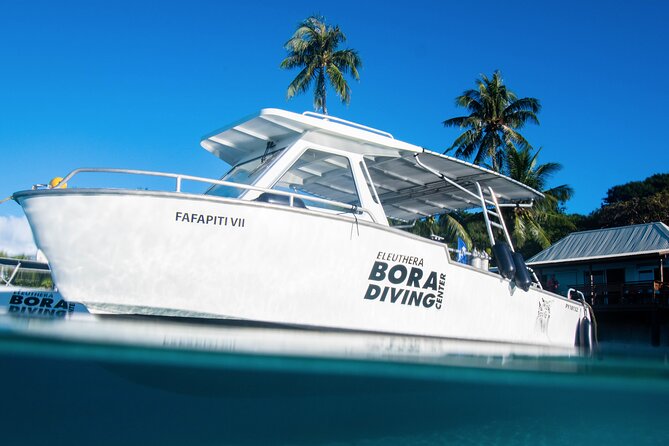 Introductory Dive in Bora Bora (afternoon) - The $136.65 price: what are you buying?