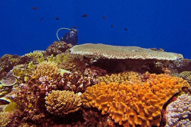 Introductory Scuba Dive experience - Whitetip Marine Adventures - The boat ride from Port Denarau