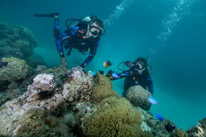 Introductory Scuba Diving Experience in Bora Bora - Why Bora Bora’s lagoon works well for beginners