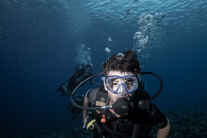 Introductory Scuba Diving Experience in Bora Bora - What happens during the three-hour outing