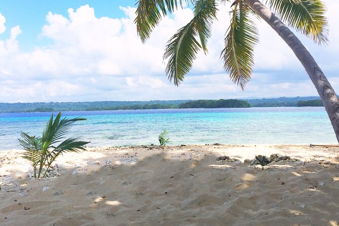 Island Day Tour Santo's Best Snorkeling Marine Sanctuary - Is the $125.52 Price Good Value?