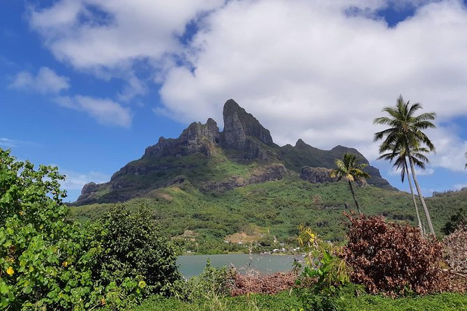 Island Tour & Getaway on the Bora Bora Mountains by Quad / ATV - Getting started in Vaitape