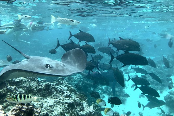 Jet Ski Moorea Customed Tour only - Choosing one, two and a half, or four hours