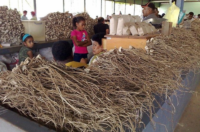 Kava Factory Tour and Flavored Kava Tasting Experience - What may not suit you