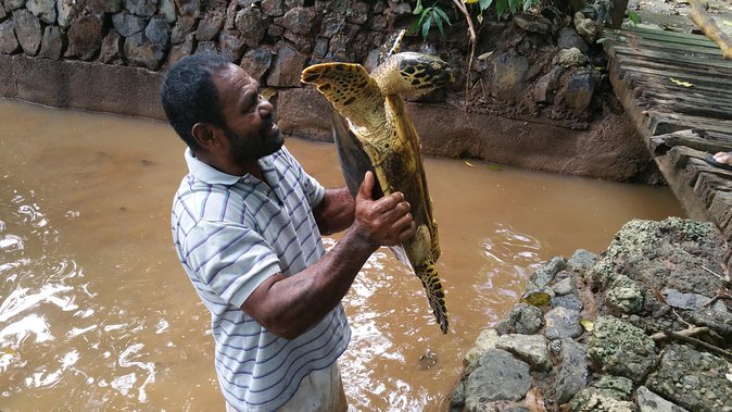 Kiara Package tour - Private transport from Suva