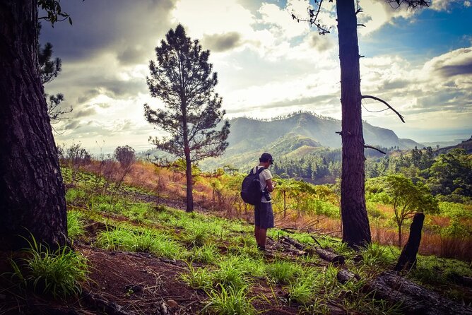 Koroyanitu National Heritage Park Fiji - Hike - Waterfall - Starting at 8:00 am with pickup