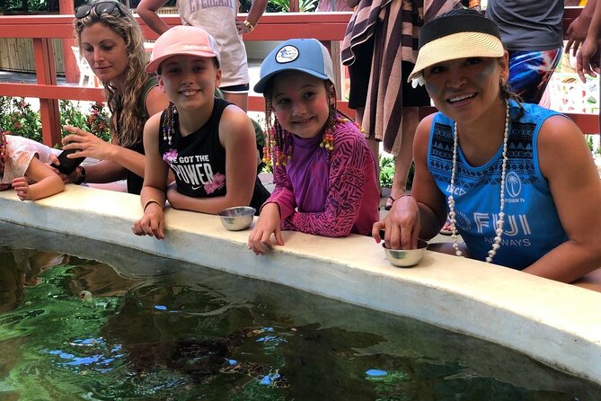 Kula Eco Park Admission - Feeding Hawksbill Sea Turtles at the Reef Pool