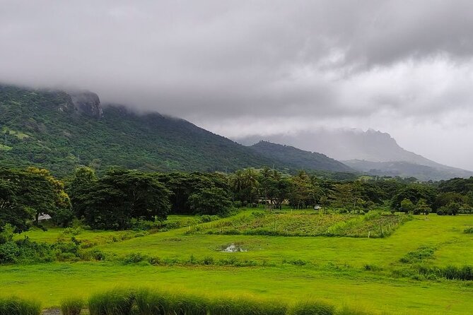 Kula Eco Park Admission - Walking the Forest Boardwalks and Canopy Paths