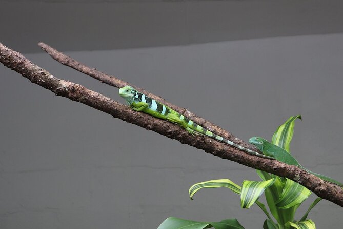 Kula Eco Park Admission - How Long Should You Plan to Stay?