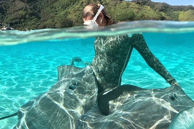 Lagoon and Marine Wildlife Tour in Moorea - Key points to know before you book