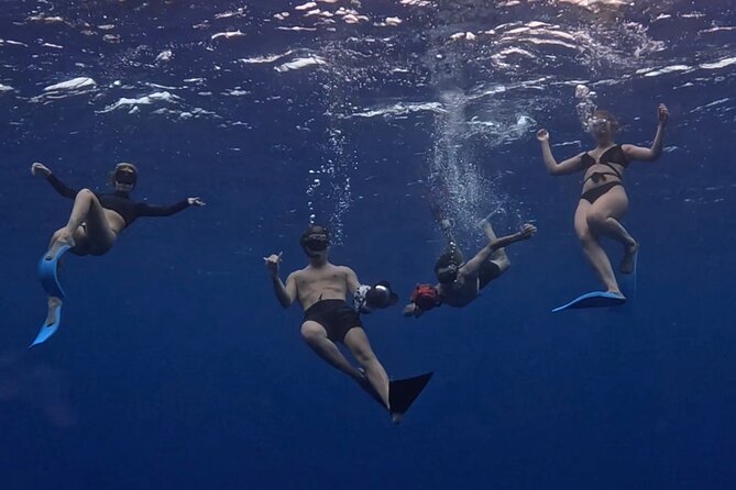 Lagoon and Marine Wildlife Tour in Moorea - Cruising toward Opunohu Bay