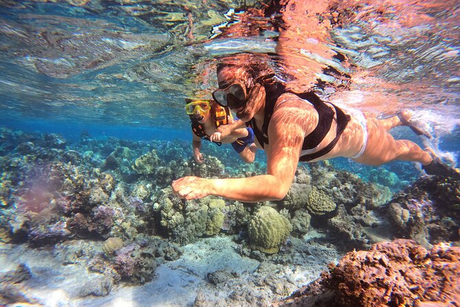 Lagoon and Marine Wildlife Tour in Moorea - What the small group changes