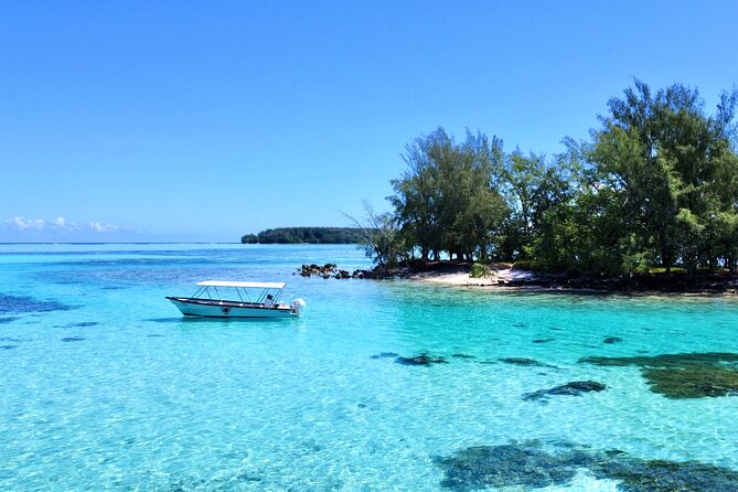 Lagoon and Marine Wildlife Tour in Moorea - Is $103.24 a fair price?