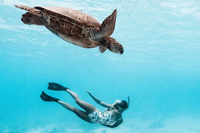 Lagoon and Wildlife Discovery on a Private Boat in Moorea - Why a private boat changes the Moorea lagoon experience