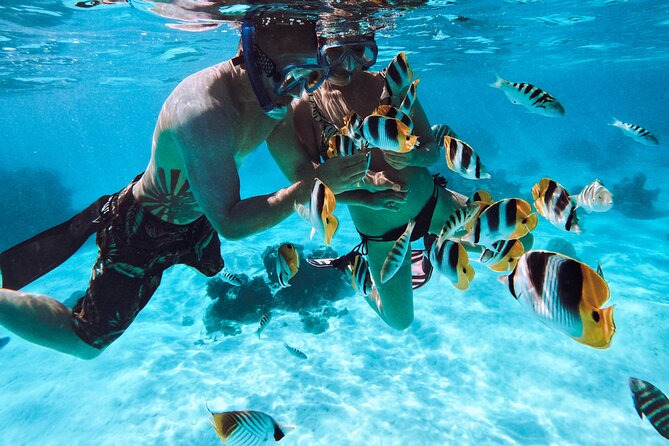 Lagoon and Wildlife Discovery on a Private Boat in Moorea - Coral gardens and the small motus