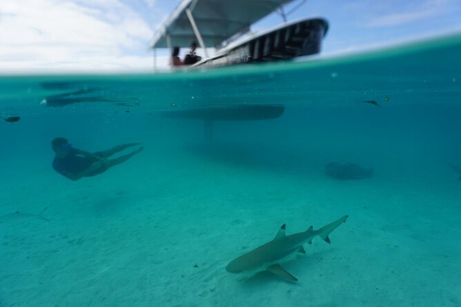 Lagoon Exploration and Snorkeling in Moorea - Meeting the crew and setting out from Cocobeach