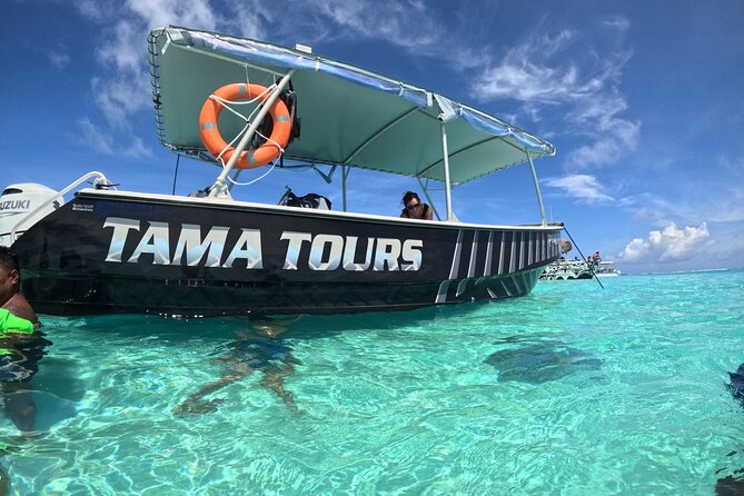Lagoon Exploration and Snorkeling in Moorea - Coral gardens, tiki statues, and sea turtles