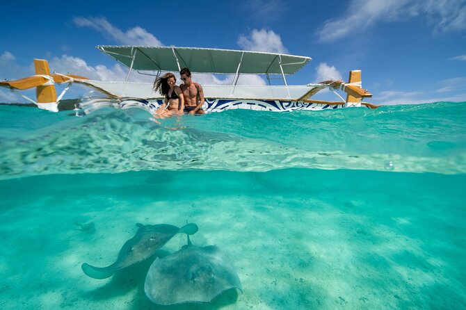 Lagoon Snorkeling Tour with Tahitian Oven Lunch in Bora Bora - Swimming near Bora Bora’s peaceful sharks