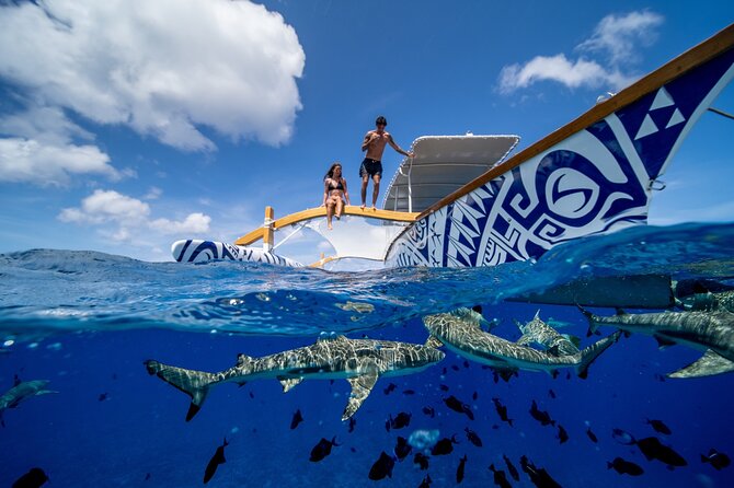 Lagoon Snorkeling Tour with Tahitian Oven Lunch in Bora Bora - A Tahitian oven lunch on a private island