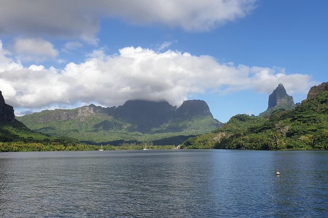 Lagoon Tour - Discover the magnificent lagoon of Moorea - Turtle channels and drifting over eagle rays