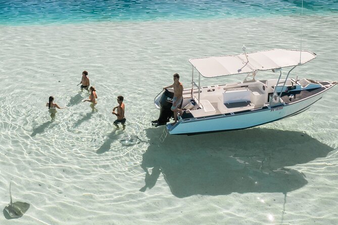 Lagoon Tour in Moorea in Small Group with Lunch - First stop: stingrays and blacktip sharks at the sandbar