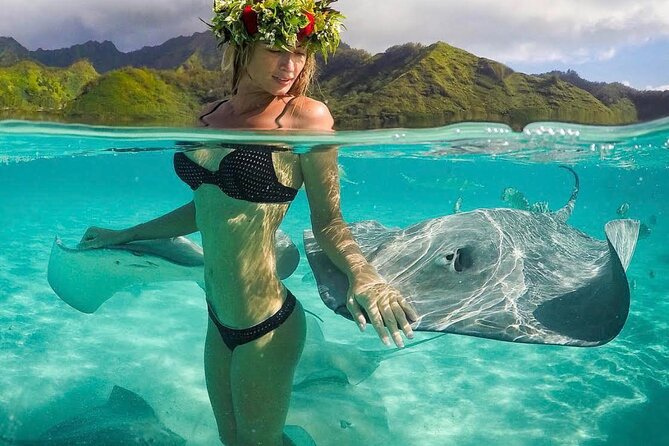 Lagoon Tour in Moorea in Small Group with Lunch - Is $218.64 a fair price?