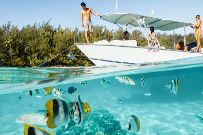 Lagoon Tour in Moorea in Small Group with Lunch - The outer reef brings open-water shark viewing