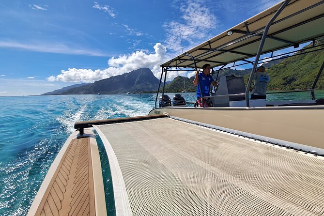 Lagoon Tour + lunch with your feet in the water on a Motu - Stop two: turtles and more than one snorkeling chance