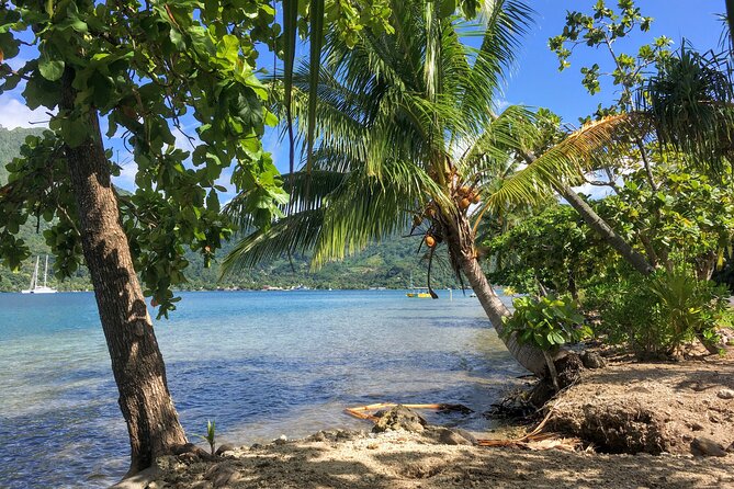 Land and Sea cultural tour to discover traditions, heritage and the lagoon - The tour’s strongest and weakest points