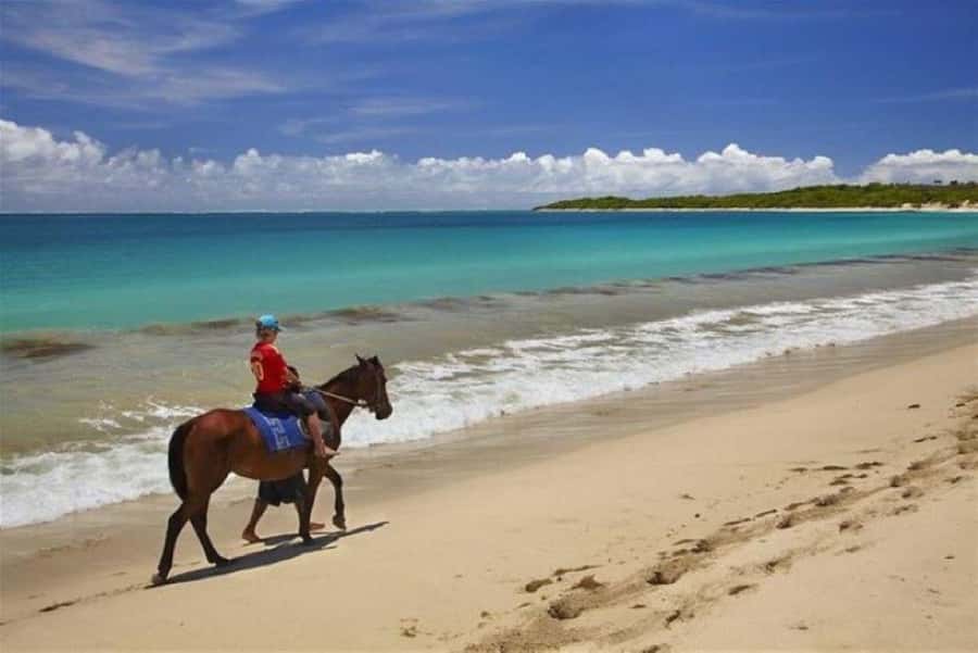 Lawai Pottery Village & Natadola Beach Kava Ceremony & Meke - Who will enjoy this Fiji day most?