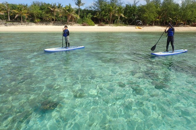 Learn to Stand Up Paddleboard! Includes 5 Star Snorkeling Tour! - Who will get the most from this experience
