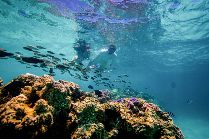 LUXURY PRIVATE Catamaran Bora Bora : Full-Day Trip - The price makes sense for a full group