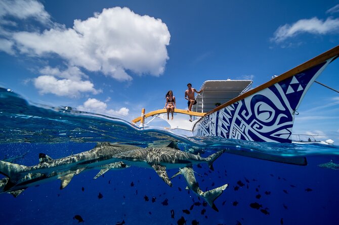 Luxury Private full day tour & Motu lunch in Bora-Bora - Stingrays, coral gardens, and reef fish