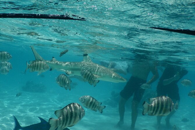 Medium Magical Combo in Moorea of 2 hours of Jetski and 3h30 of Quad - Why this combination works on Moorea