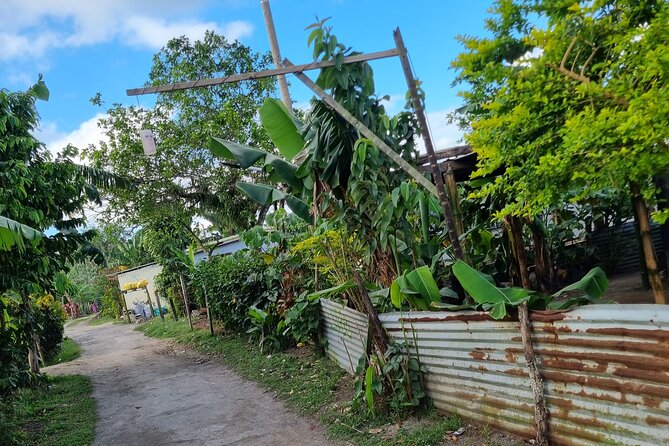 Mele Village Guided Walking Tour - The church, schools, shops, and football fields