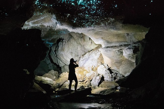 Milky Way, Shark City Island, Beach and Rock Island Tour - What the $200 price really covers