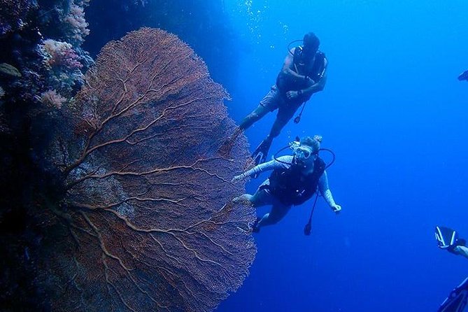 Milky Way, Shark City Island, Beach and Rock Island Tour - The guide and crew make a difference