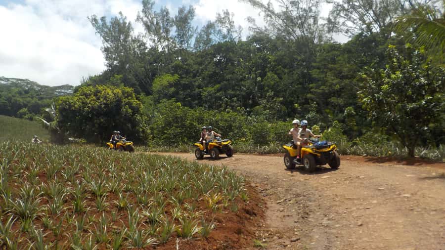 Mo'orea: Guided ATV Nature Tour - Riding into Mo’orea’s Opunohu Valley