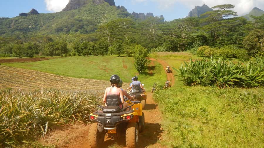 Mo'orea: Guided ATV Nature Tour - Should you book it?